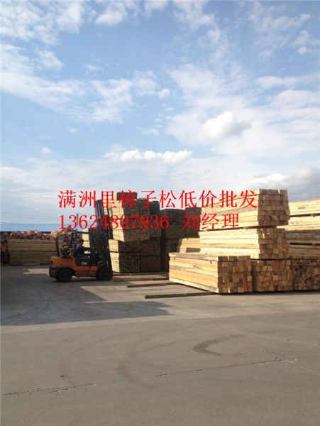 樟子松毛?></a></li>
																					</ul>
									</div>
									<div class=
