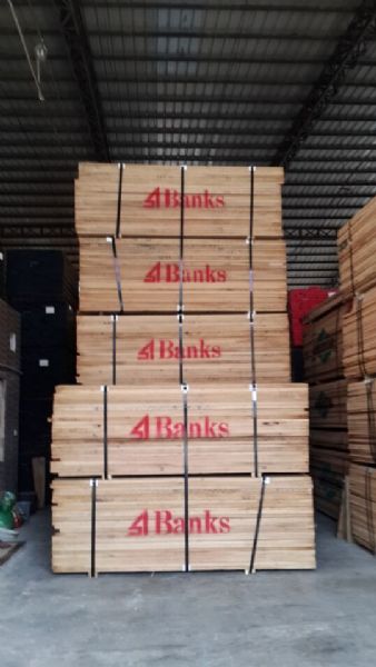 红橡木Red Oak