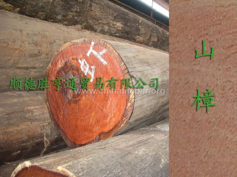 大量优惠供应山樟/冰片香原木原材进口木?></a></li>
																						<li><a href=