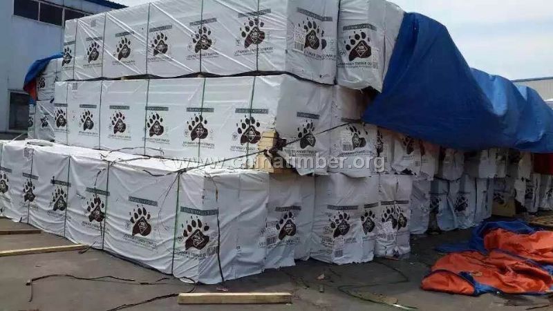 欧洲云杉进口云杉
