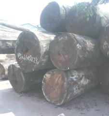 菠萝格/印茄木进口清关手续代理