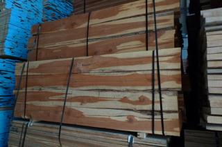 أѩ cedar