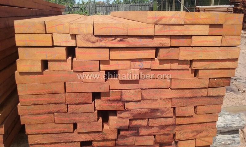   (JATOBA)