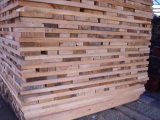 ����˹����������/��Ҷ