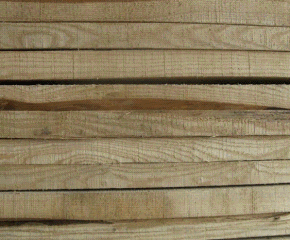 ��ľ��ġ���������ľ