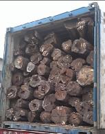 ��ľ��̴��ľ�����