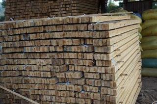 ����ľ��