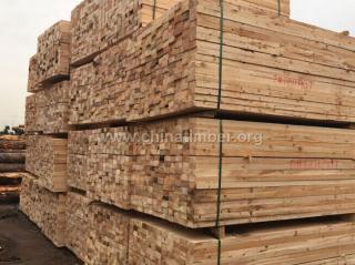 ��������ľ����ɼ�����ɰ��ɷ����������׹�