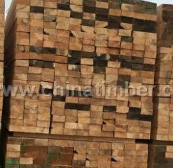 ����ľ�����ô���ɼľ����ľ������ľ����ľ�������