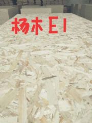 ŷɰ|ٻ|OSBľ|